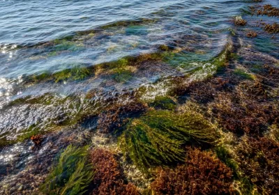 Imagen PNG para descargar